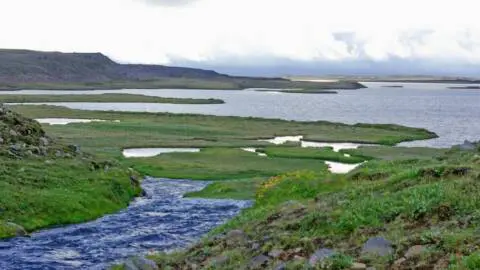 Arnarvatn stóra