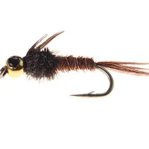 Pheasant tail