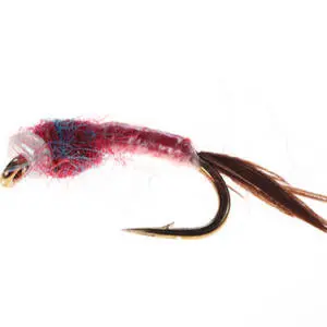 Rainbow Warrior