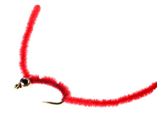 San Juan worm
